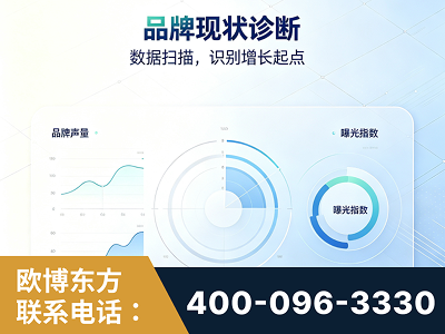保山-品牌现状诊断